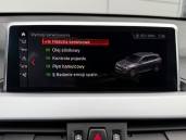 BMW X1 xDrive25e
