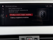 BMW X1 xDrive25e